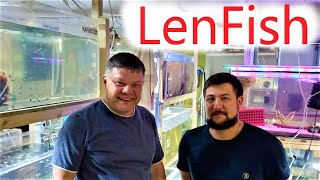 Ленинградские Рыбки Lenfish