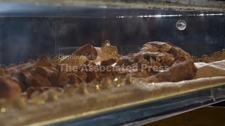 The bones of St. Francis are going on public display for the first time in history inside St.Francis