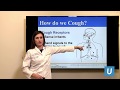 Chronic Cough Treatment for Children | Mindy Ross, MD | UCLAMDChat