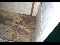 How To Repair Damaged Floor Framing Under Load Bearing Exterior Wall