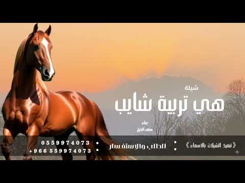 هي تربية شايب بين الرجال بصوت متعب الخيل 2025