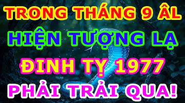 Tuổi Đinh Tỵ 1977 Tháng 9 Âm TƯỞNG ĐEN ĐỦI, AI NGỜ LỘC TỚI TẤP! Tiết Lộ Cơ Hội Chỉ Xuất Hiện 1 Lần