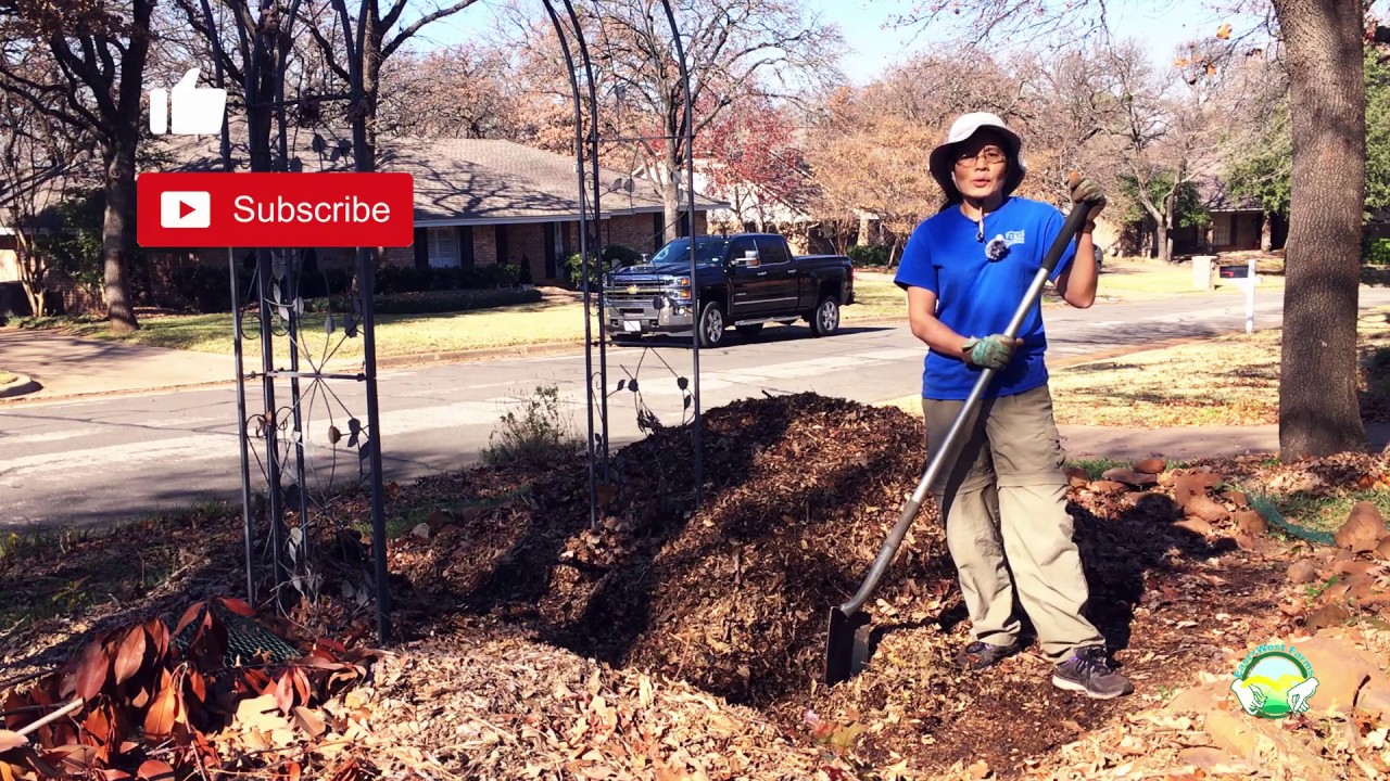 Don't throw your leaves into the trash...from leaves to mulch YouTube