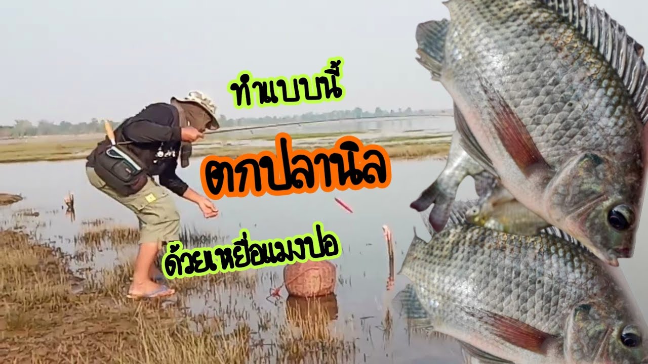 วิธี 