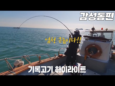 <strong>대물</strong> 감성돔과의 숨막히는 한판승부!! 인생 기록고기 하이라이트 영상