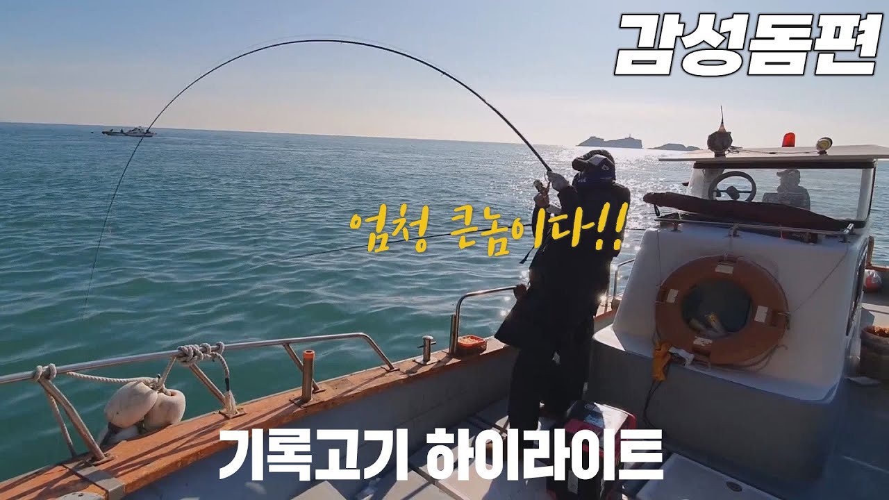 대물 감성돔과의 숨막히는 한판승부!! 인생 기록고기 하이라이트 영상