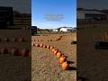 I can’t believe October is almost over. #pumpkinpatch #pumpkinpicking #halloween #fall