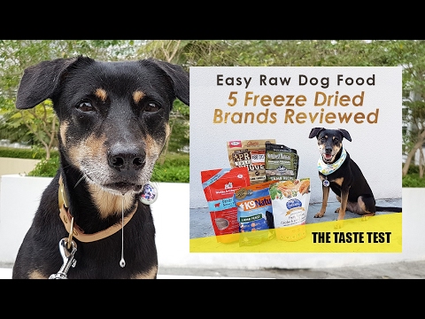 Easy Raw Dog Food Review Primal Northwest Stewart More