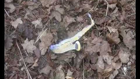 #05.KJF2012 by Mykhaylo Komarov