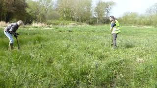 Workday on Brook Meadow  07 04 24