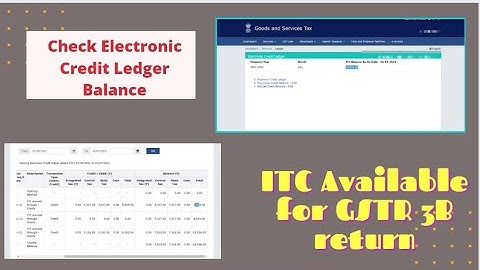 How To Check ITC From GSTIN Portal II Portal Pe ITC Balance Kaise Check Kre??🤔