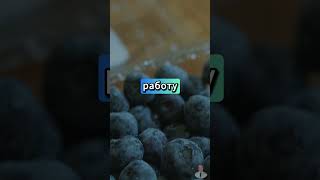 Вы знали? Черника полезна для мозга и сердца! #суперфуд #мозг #антиоксиданты