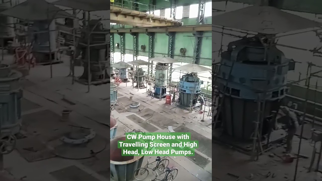 Biggest pumps in a power plant 