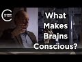 Joseph LeDoux - What Makes Brains Conscious?