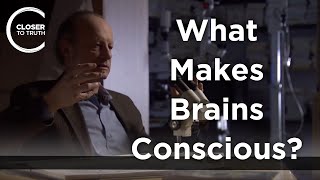 Joseph LeDoux  What Makes Brains Conscious?