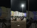 admeto flv na sela de arthur de badaro