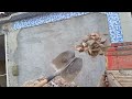 chegou dia de retirar entulhos