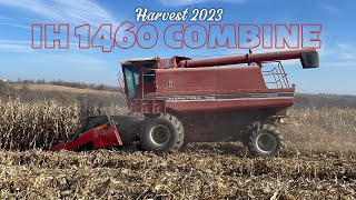 Harvest 2023 with a IH 1460 Combine.mp4
