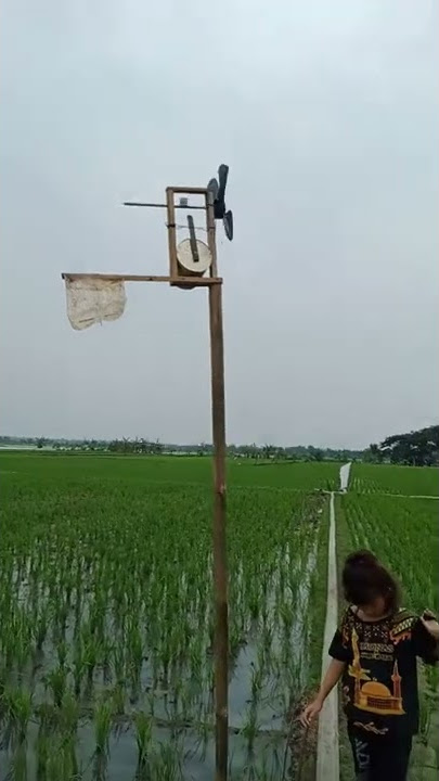 Pengusir burung🐦dan tikus tradisional👍Otok-otok#short