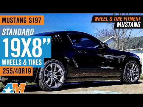 Mustang S197 | Standard 19X8 "| 255 / 40R19 | W & T Fitment