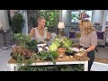 Sara Bäckmo odlar mitt i vintern: ”Man kan odla svartrot hemma” - Malou Efter tio (TV4)