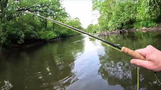 Fly Fishing for Illinois Bass - Spring 2024