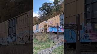 @norfolksoutherncorp h53 local in Clarks Ferry PA #train #norfolksouthern #shorts