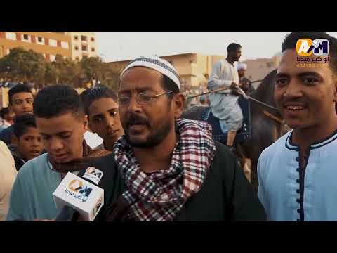 شوفوالمرماح في مولدسيدي عبدالرحيم القناوي في محافظة قناالاحصنة بترقص من الفرحة والتحطيب في حتة تانية