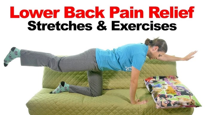 7 Exercises for Lower Back Pain Relief - Dr. Nael Shanti