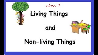 Celebrity class 1 science chapter 1 things around us Profile