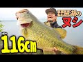 【神回】バス釣りで100年に1度の奇跡が起きた!! in琵琶湖