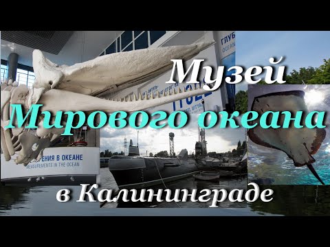 Музей Мирового океана в Калининграде - экскурсия / World Ocean Museum in Kaliningrad