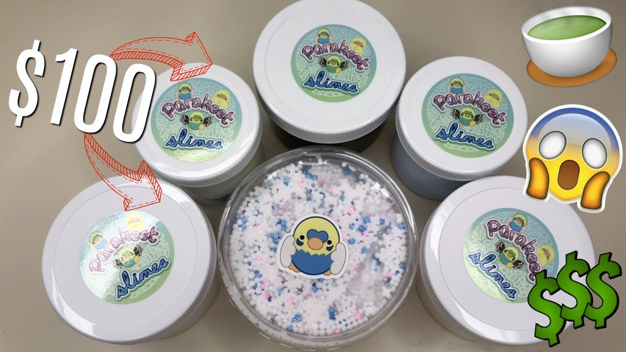 $100 OVERRATED SLIME SHOP REVIEW ft. @PARAKEETSLIMES (sm tea.)