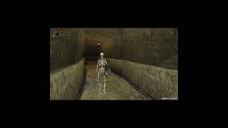 Morrowind Skeletons Marching Meme  #theelderscrolls #Morrowind #CuteSkeletons