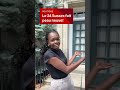 24 Sussex : le grand sauvetage est lancé! | Vidéojournal