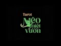 TVC Bộ bài Tarot "MÈO MIỆT VƯỜN" | Top 15 Đồ án tốt nghiệp Thiết kế đồ hoạ 2025