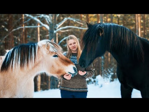 The Horses Have Arrived | #07 Farm Diaries thumbnail