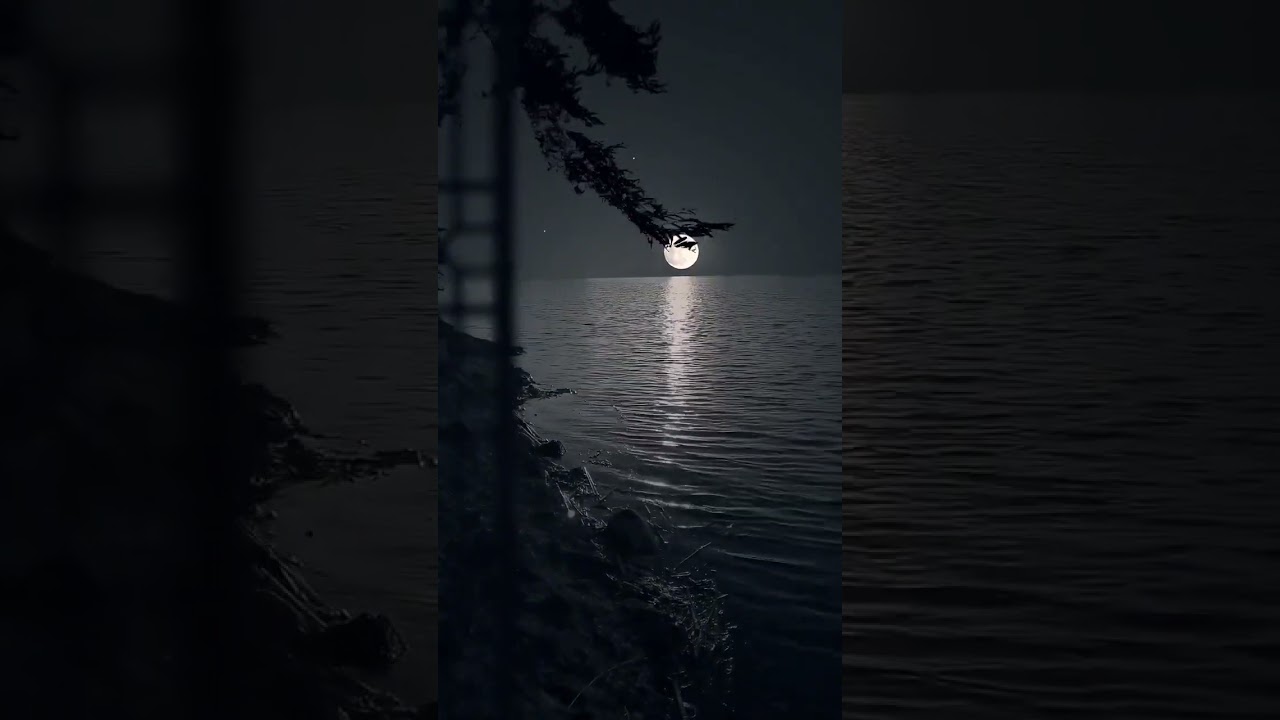 Moon in a dark ocean!  💕💕