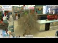 amanda plays the sims: what happens in oasis springs stays in oasis springs (2)