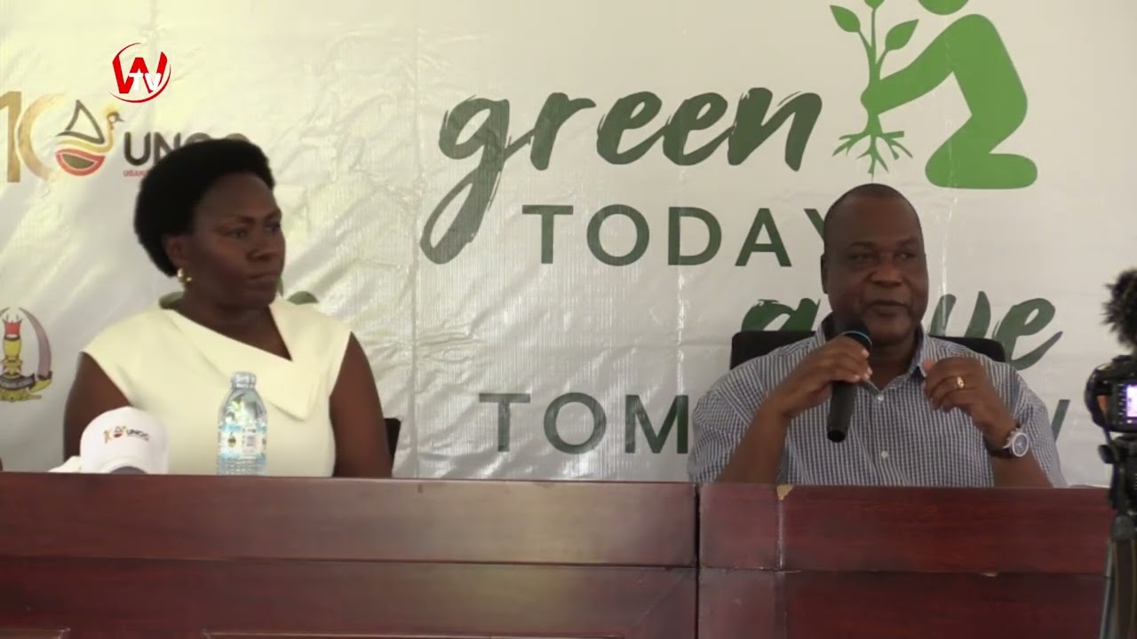 Tree Planting Highlights