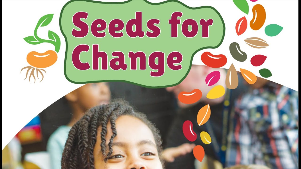 When's the penny gonna drop ffs? Critical race theory, agenda 2030 