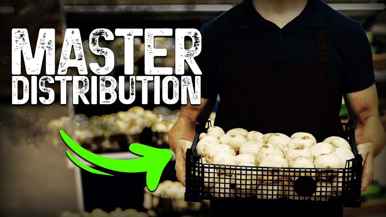 How to Scale Your Mushroom Farm for Distribution: From Farmers Market to Mass Production