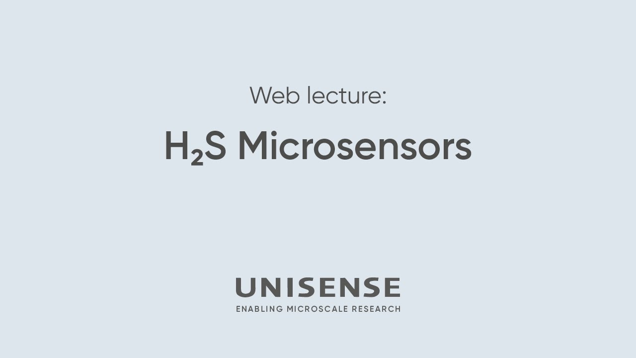 H2S Microsensors - Web lecture