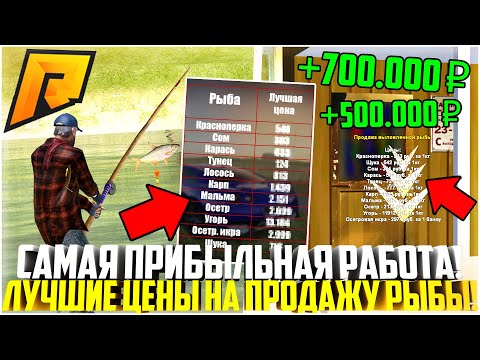 РЫБАЛКА! ЛУЧШИЕ ЦЕНЫ НА ПРОДАЖУ РЫБЫ! ТАБЛИЦА! ЛУЧШИЙ СПОСОБ ЗАРАБОТКА НА РАДМИРЕ! - RADMIR CRMP