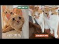 新しい家で迎えた2日目。