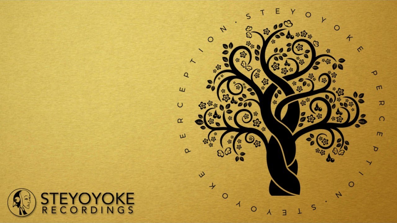 Marcus Sur - Dead Panning (Original Mix) | Steyoyoke