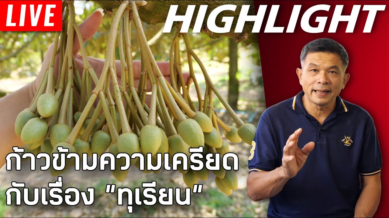 LIVE🔴 พูดคุยและปรึกษาปัญหาทุเรียนกับ 