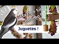 Cómo hacer juguetes para loros (ninfas, cotorros, etc) / Materiales reciclados !