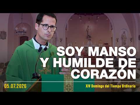 [#374]: "Soy manso y humilde de corazón"- Evangelio y Homilia de Domingo -Tiempo Ordinario 5.07.2026