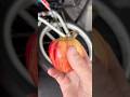 Have you ever seen a apple do this?!